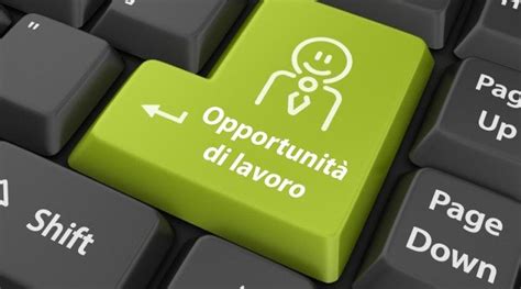 OPPORTUNITA DI LAVORO 